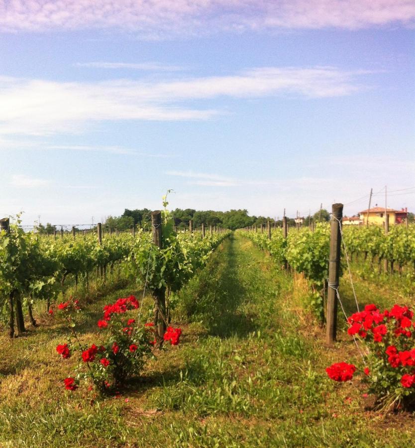 Agriturismo Gazza Ladra Villa Noventa di Piave Luaran gambar