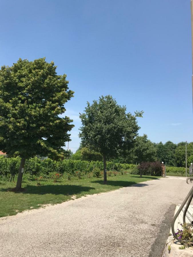 Agriturismo Gazza Ladra Villa Noventa di Piave Luaran gambar