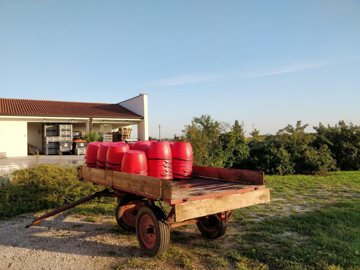 Agriturismo Gazza Ladra Villa Noventa di Piave Luaran gambar