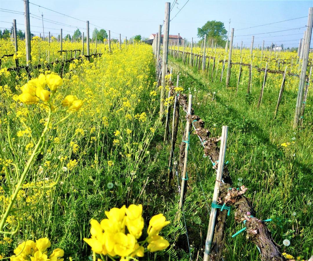 Agriturismo Gazza Ladra Villa Noventa di Piave Luaran gambar